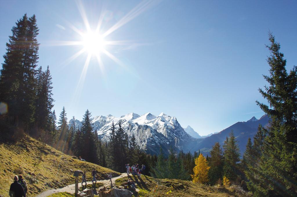 Mountain Lodge Urweider Innertkirchen Eksteriør bilde
