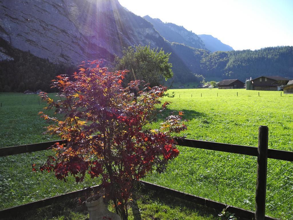 Mountain Lodge Urweider Innertkirchen Eksteriør bilde