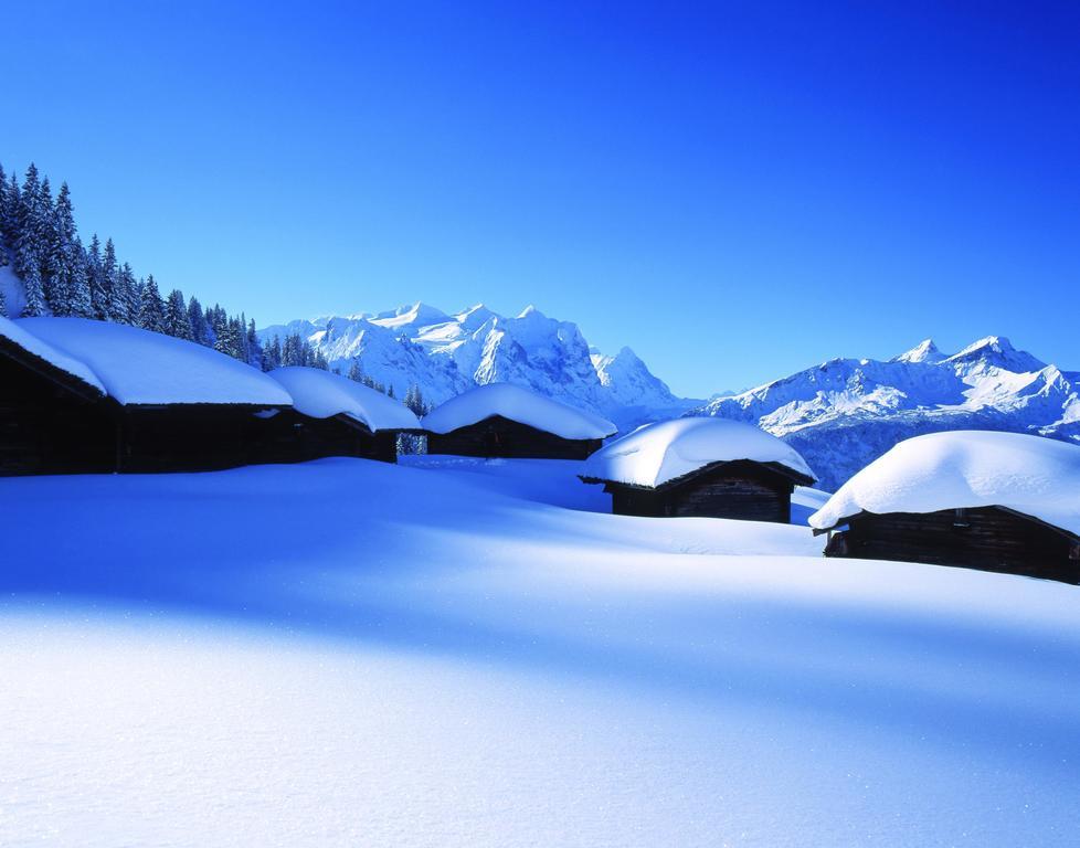 Mountain Lodge Urweider Innertkirchen Eksteriør bilde