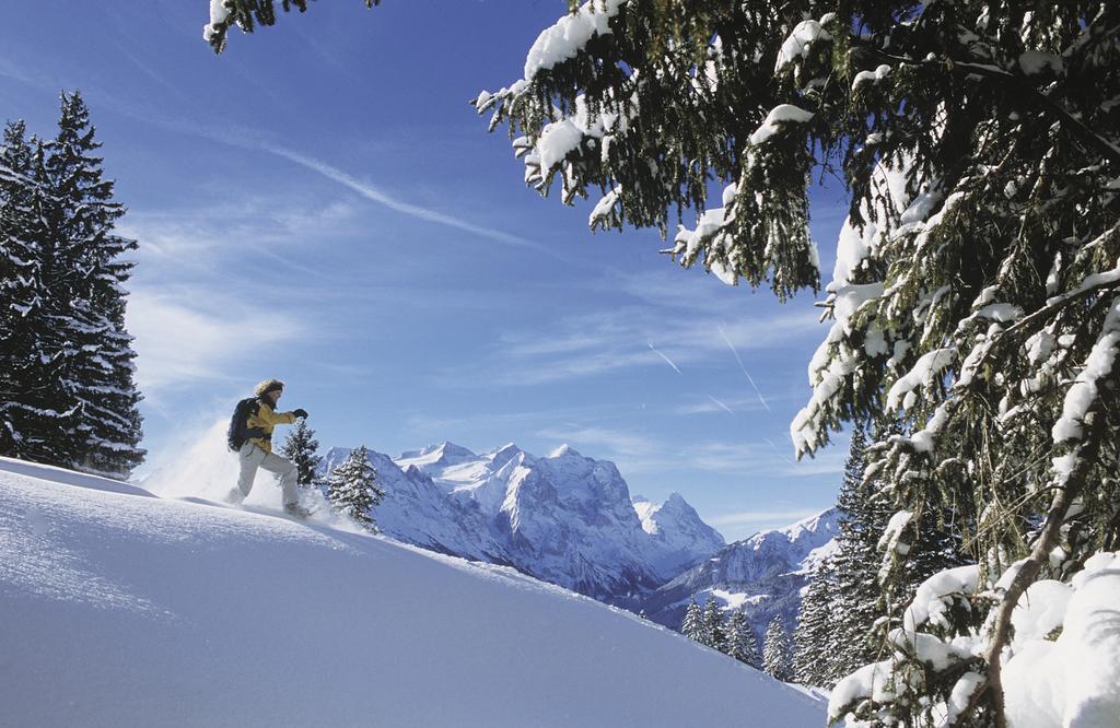 Mountain Lodge Urweider Innertkirchen Eksteriør bilde