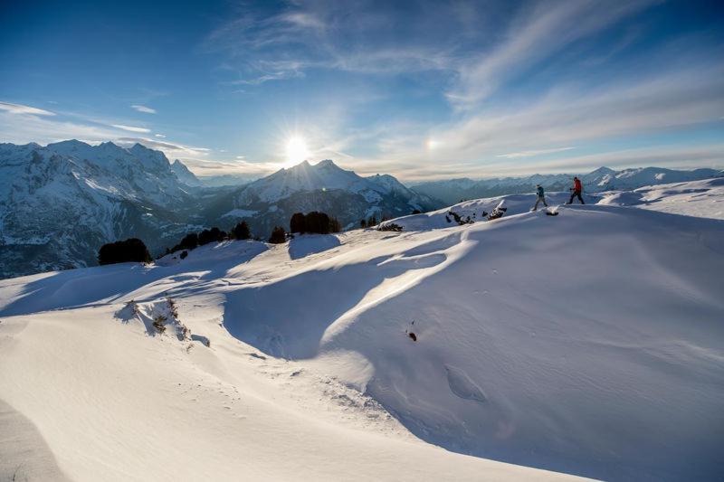 Mountain Lodge Urweider Innertkirchen Eksteriør bilde