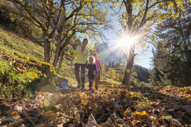 Mountain Lodge Urweider Innertkirchen Eksteriør bilde