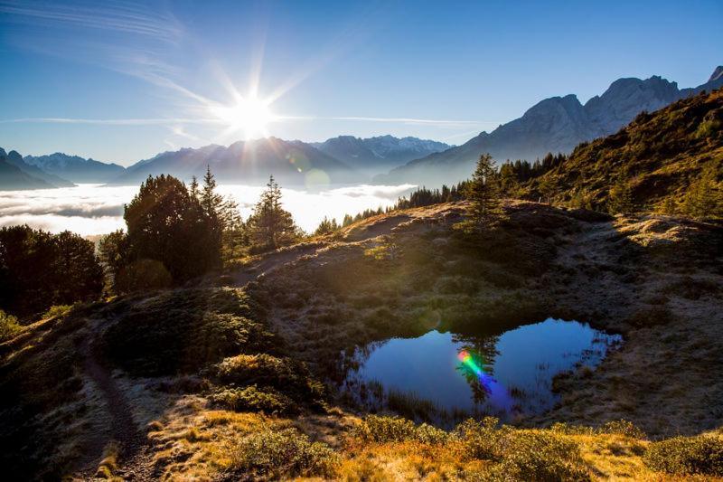 Mountain Lodge Urweider Innertkirchen Eksteriør bilde