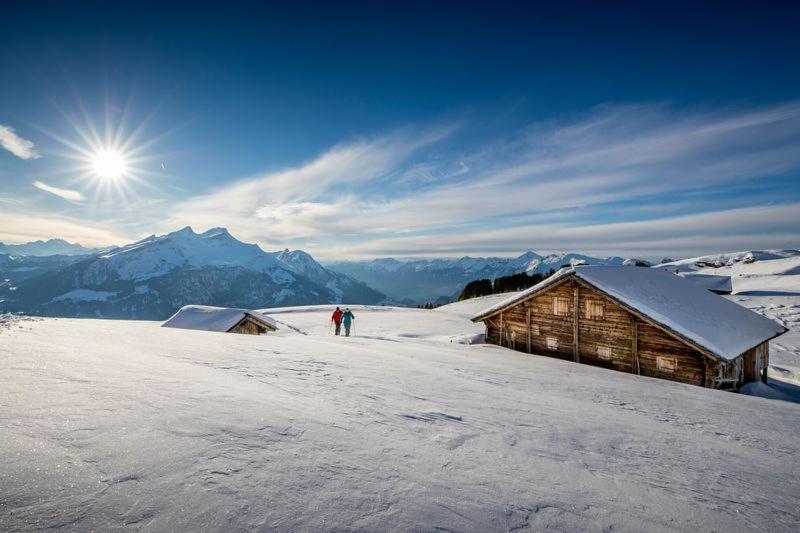 Mountain Lodge Urweider Innertkirchen Eksteriør bilde