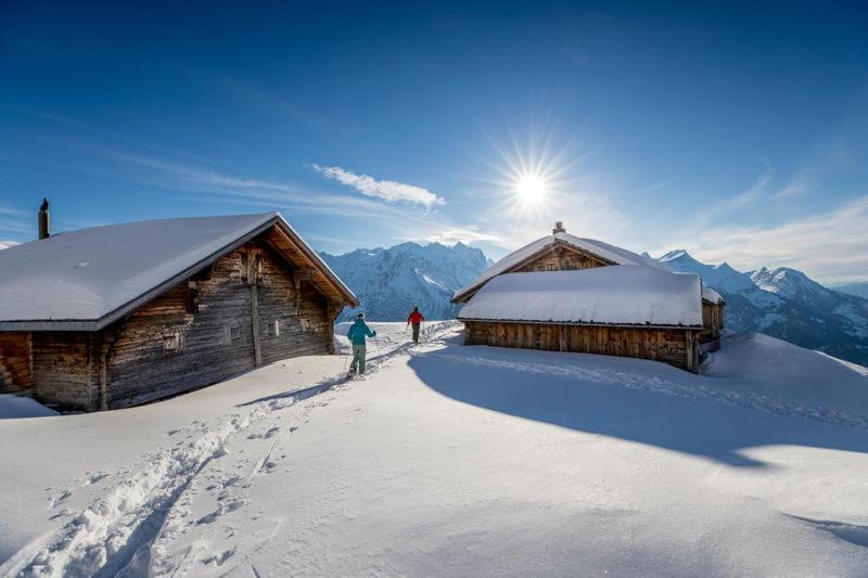 Mountain Lodge Urweider Innertkirchen Eksteriør bilde