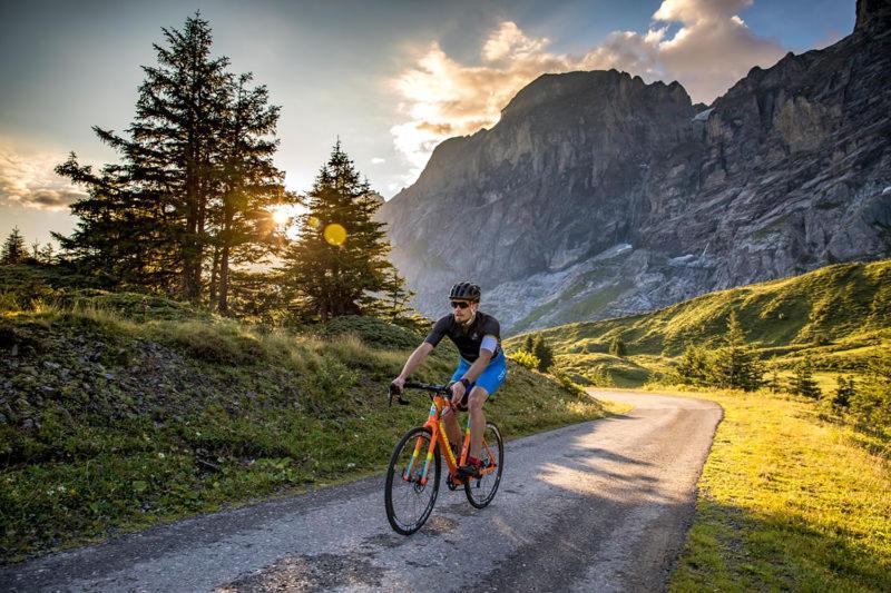 Mountain Lodge Urweider Innertkirchen Eksteriør bilde