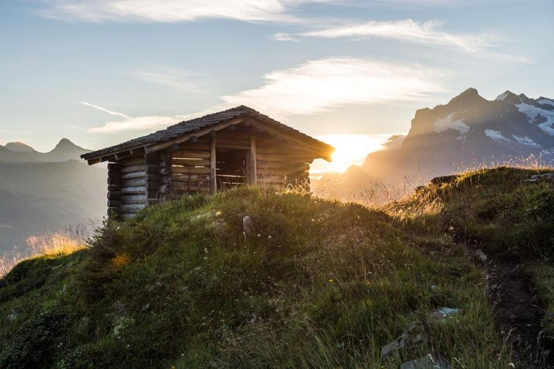 Mountain Lodge Urweider Innertkirchen Eksteriør bilde