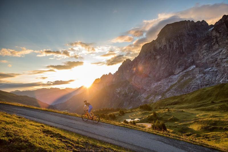 Mountain Lodge Urweider Innertkirchen Eksteriør bilde